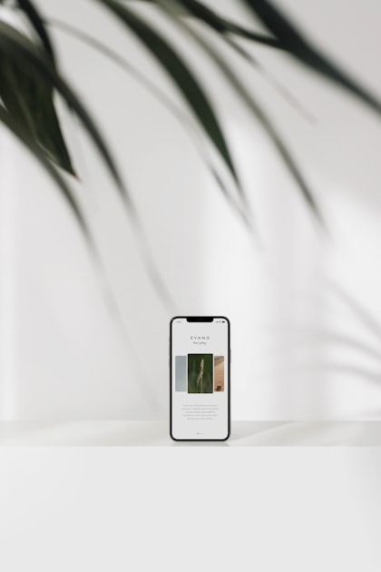 Privacy Policy Overview
